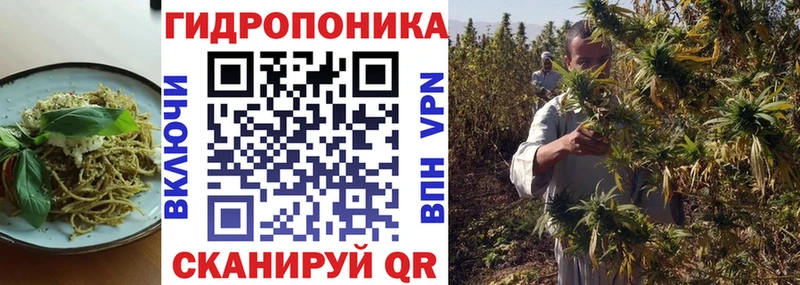 Cannafood марихуана продажа наркотиков это телеграм Талица