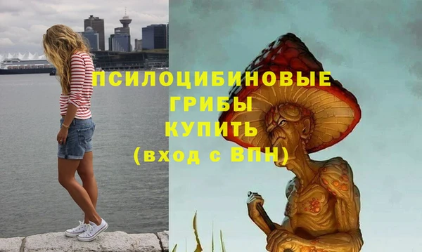 apvp Сафоново