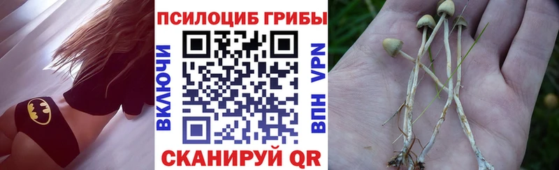 Псилоцибиновые грибы прущие грибы  мега рабочий сайт  Талица  как найти  
