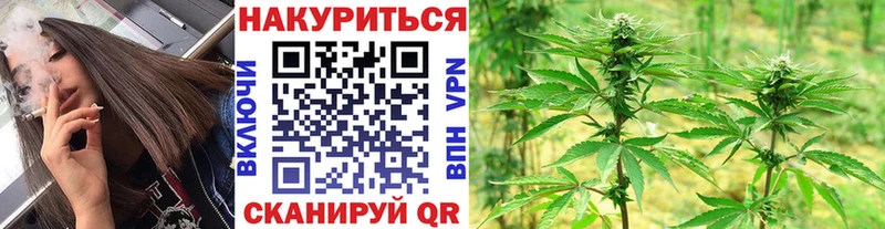 Каннабис индика  где купить наркоту  Талица 